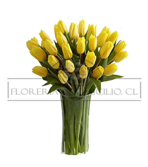 Florero de 30 Tulipanes